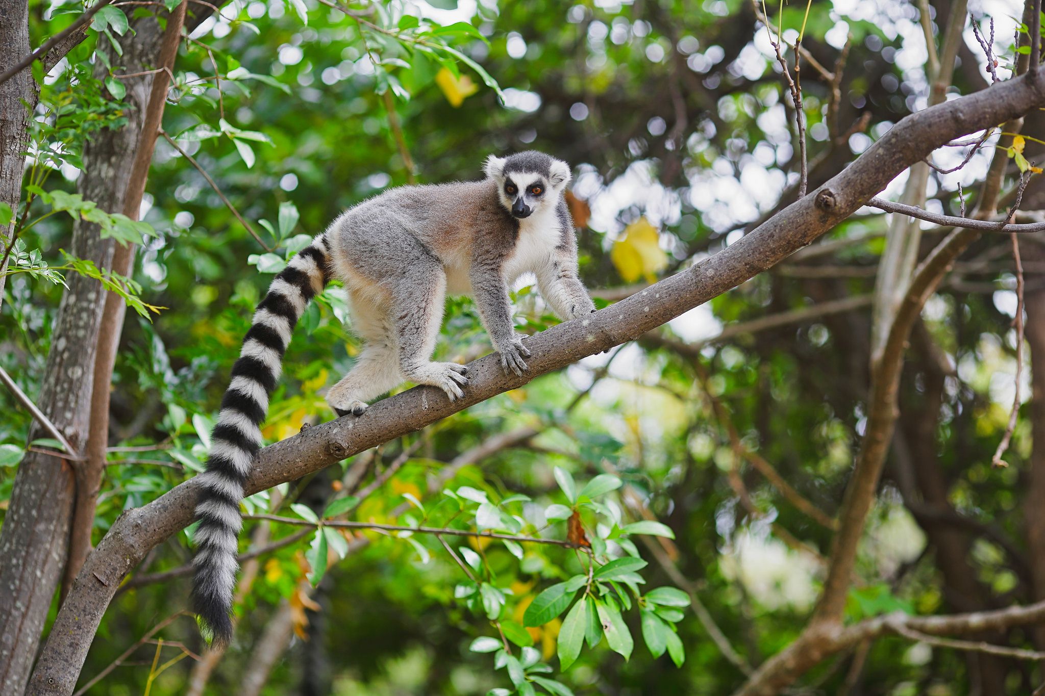 International Tourism Fair Madagascar